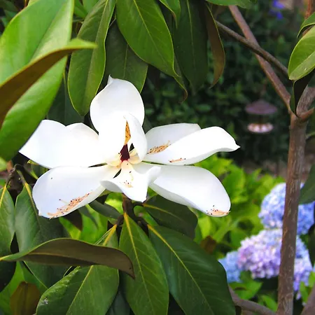 Szálloda Rural San Miguel - Only Adults 4*