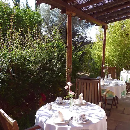 Szálloda Rural San Miguel - Only Adults San Miguel de Abona