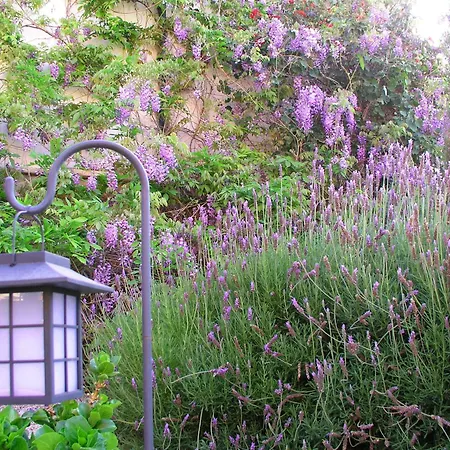 Szálloda Rural San Miguel - Only Adults San Miguel de Abona