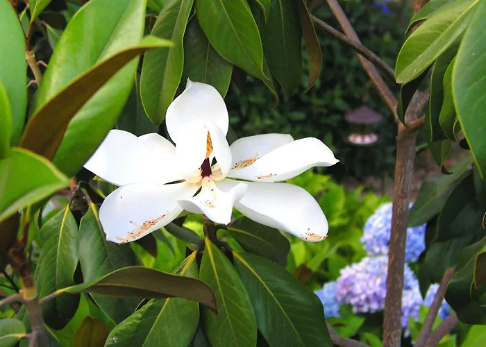 Szálloda Rural San Miguel - Only Adults 4*