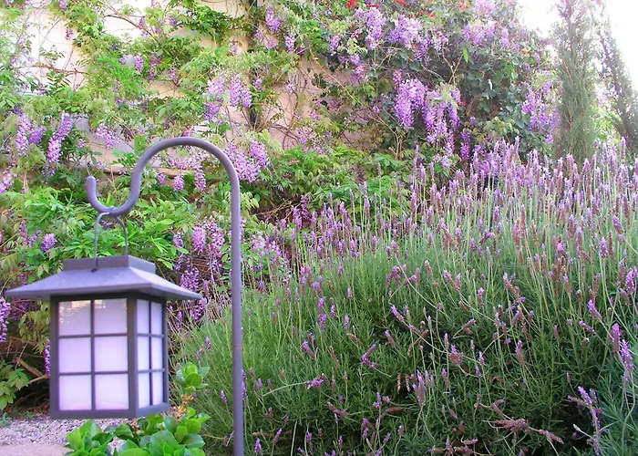 Szálloda Rural San Miguel - Only Adults San Miguel de Abona