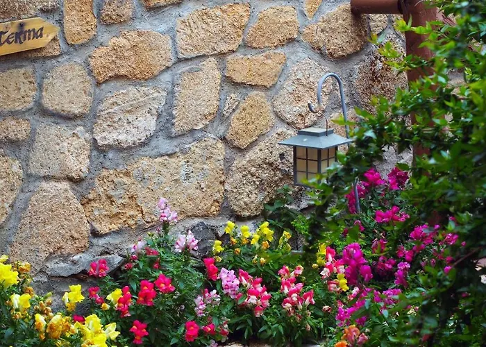 Rural San Miguel - Only Adults Szálloda San Miguel de Abona